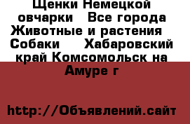 Щенки Немецкой овчарки - Все города Животные и растения » Собаки   . Хабаровский край,Комсомольск-на-Амуре г.